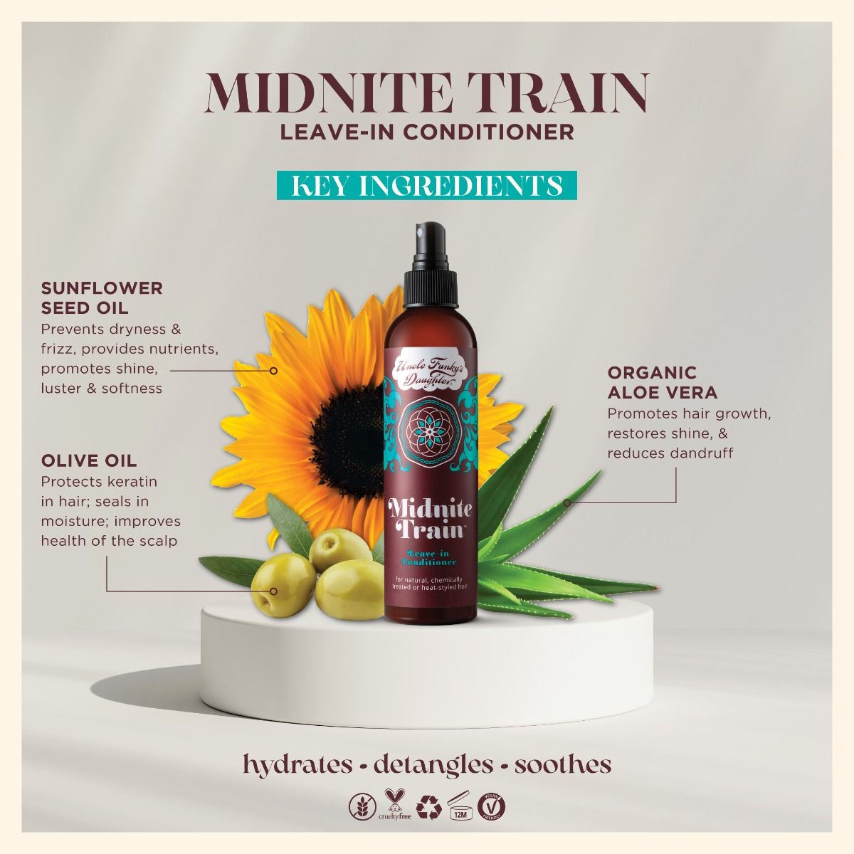 Midnite Train